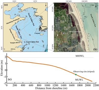 In-situ observations of wave- and current-supported fluid mud dynamics on a hyperturbid macrotidal mudflat